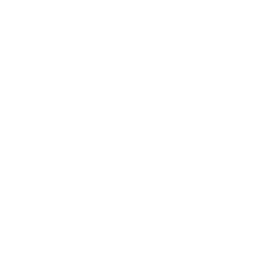 icon2